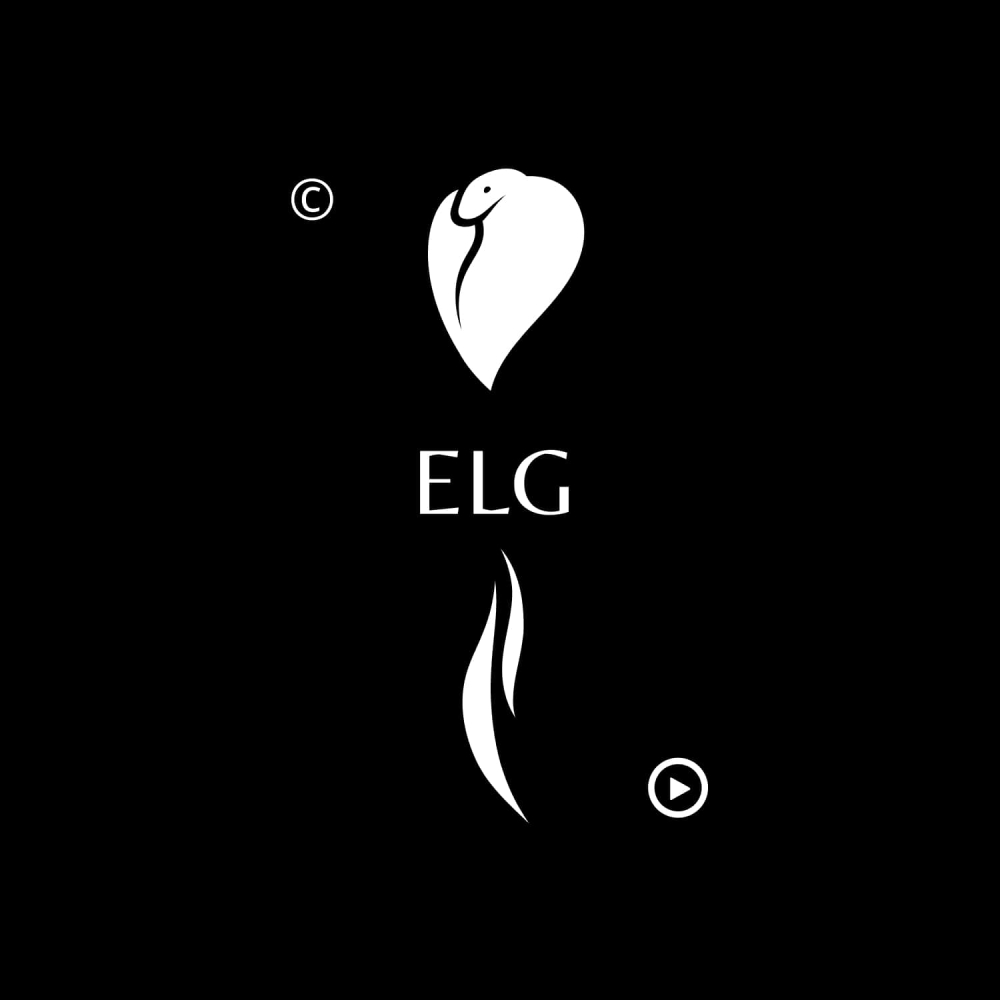 ELMejor General Audio